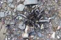 /album/galeria-de-fotos/ssm08-jpg/